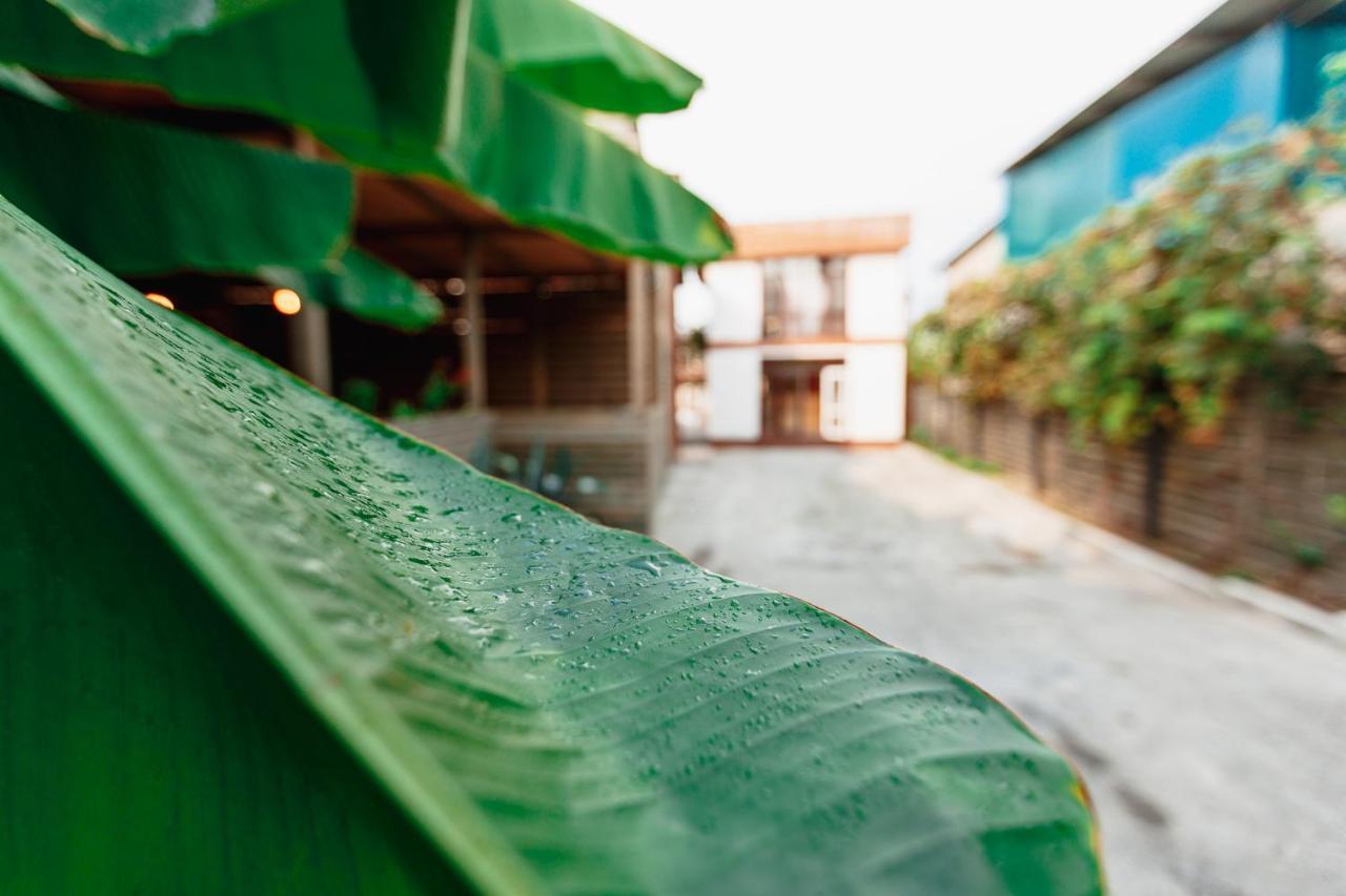 Guest House Amshin Tsandrypsh Exterior foto